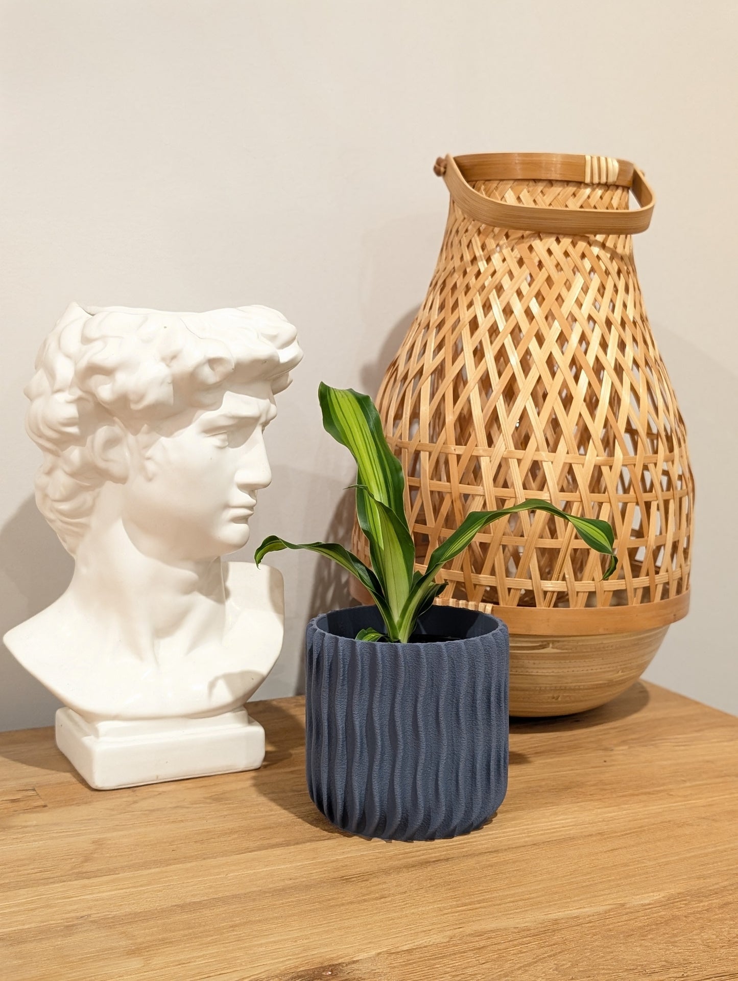 Varen  Planter