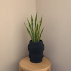 Capri Plant Pot - Vessela