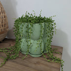 Caribe N°2 Planter - Vessela