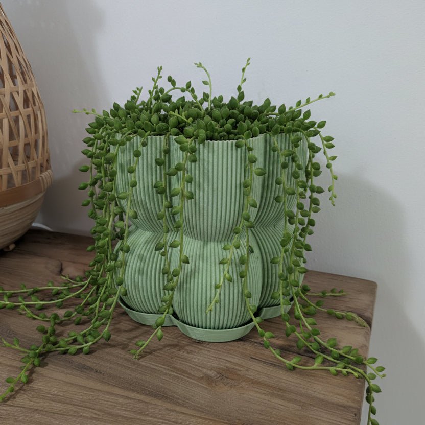 Caribe N°2 Planter - Vessela