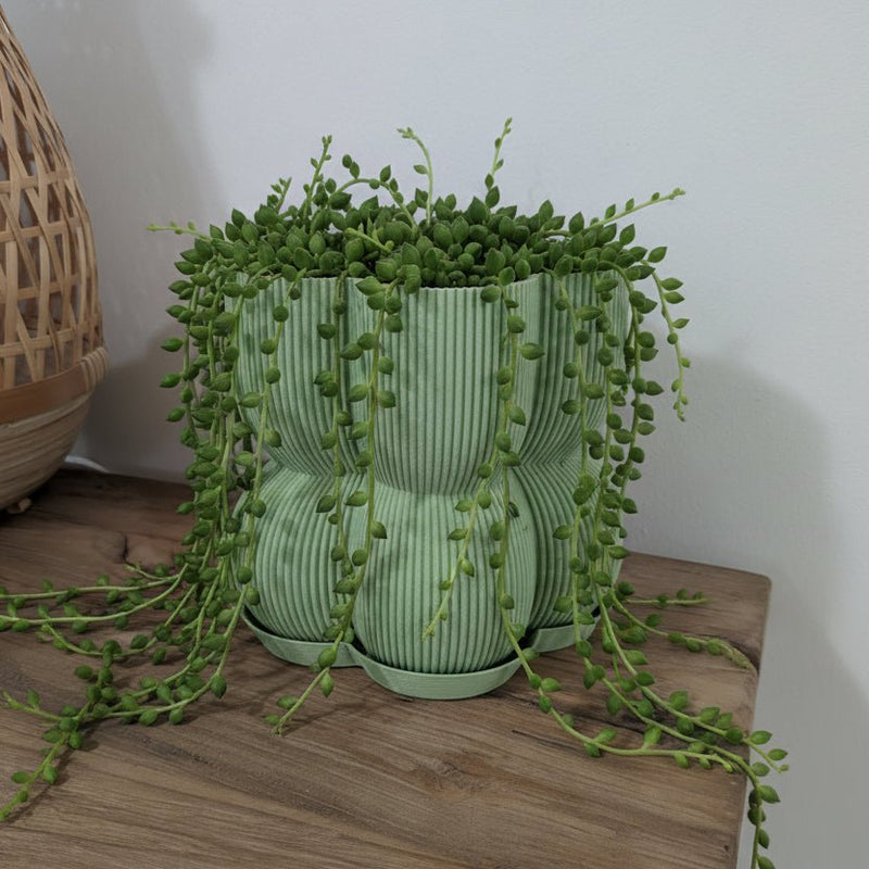 Caribe N°2 Planter - Vessela