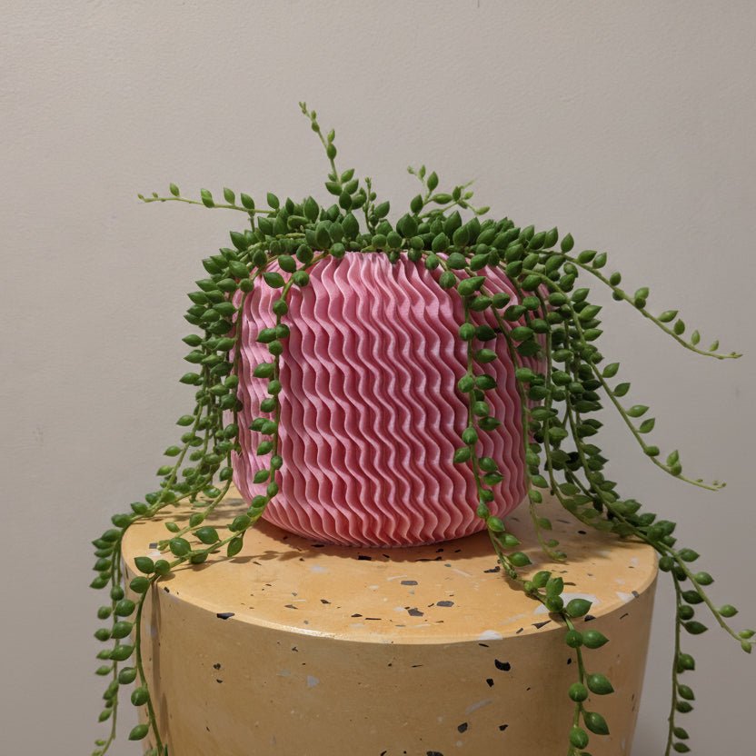 Malibu Planter - Vessela