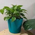 Noa Planter - Vessela