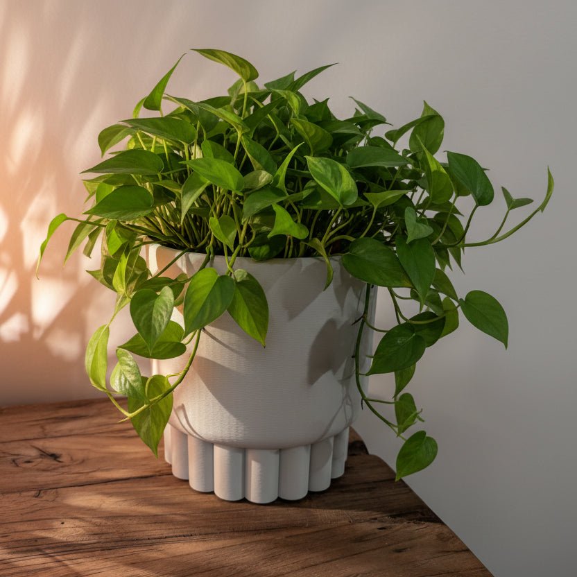 Printed in fine layers, one at a time