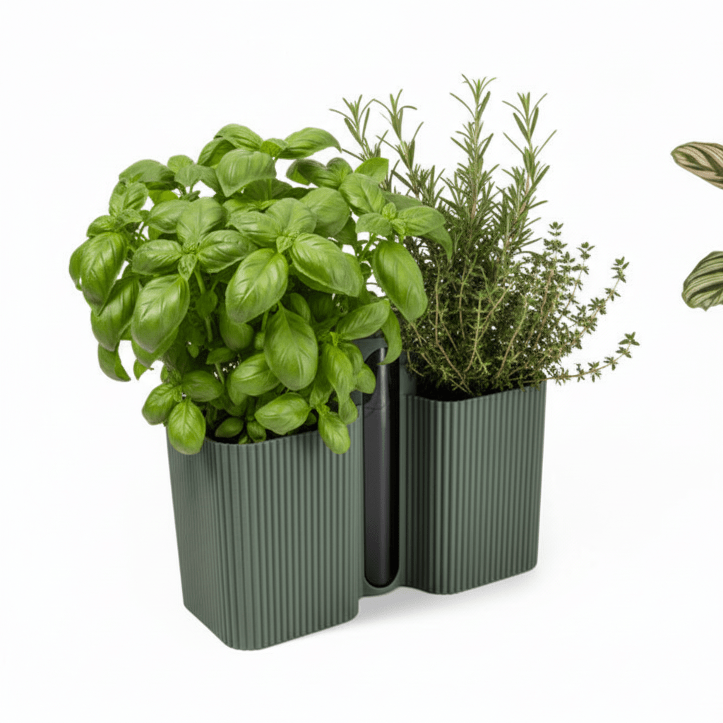 Grow Together Self Watering Pot - Vessela