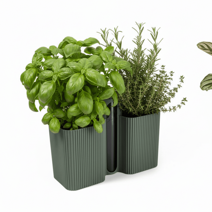 Grow Together Self Watering Pot
