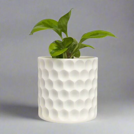 Hive Planter
