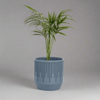 Rain Planter - Vessela