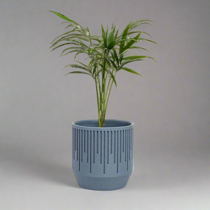 Rain Planter