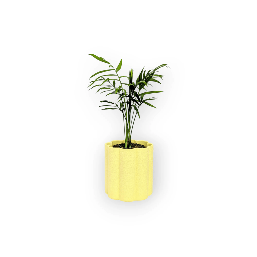 Flora Planter - Vessela