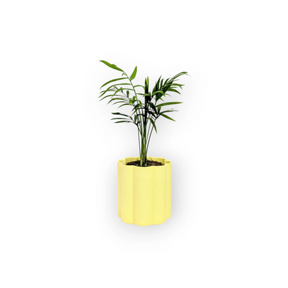 Flora Planter