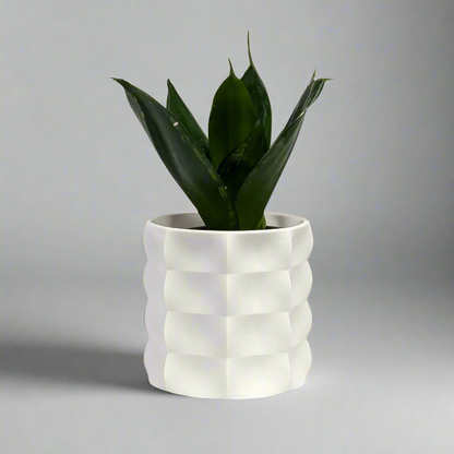 Veyla Planter