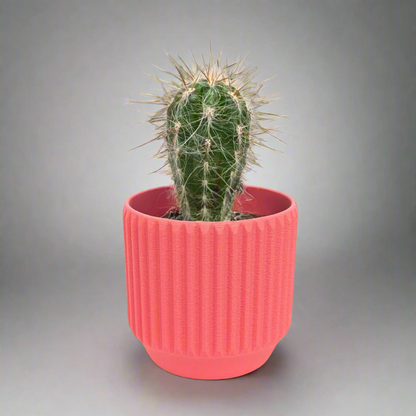 Astra Planter