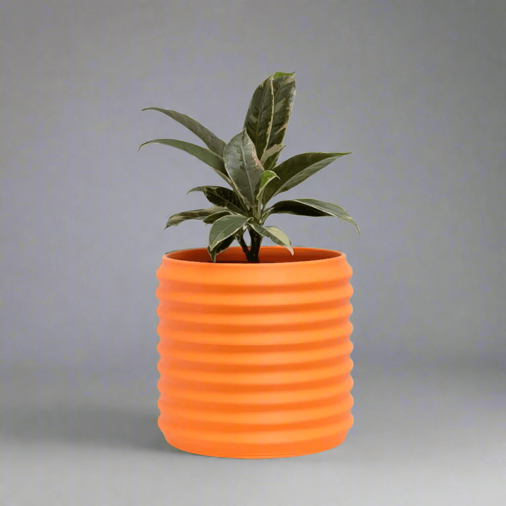 Orin Planter - Vessela