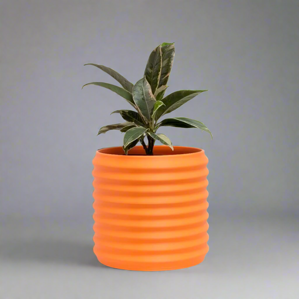 Orin Planter