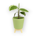 Noa Planter - Vessela