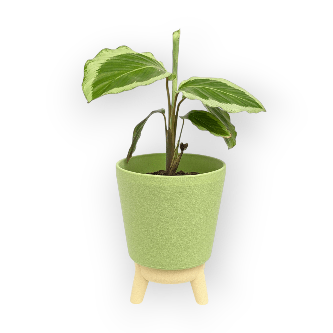 Noa Planter - Vessela