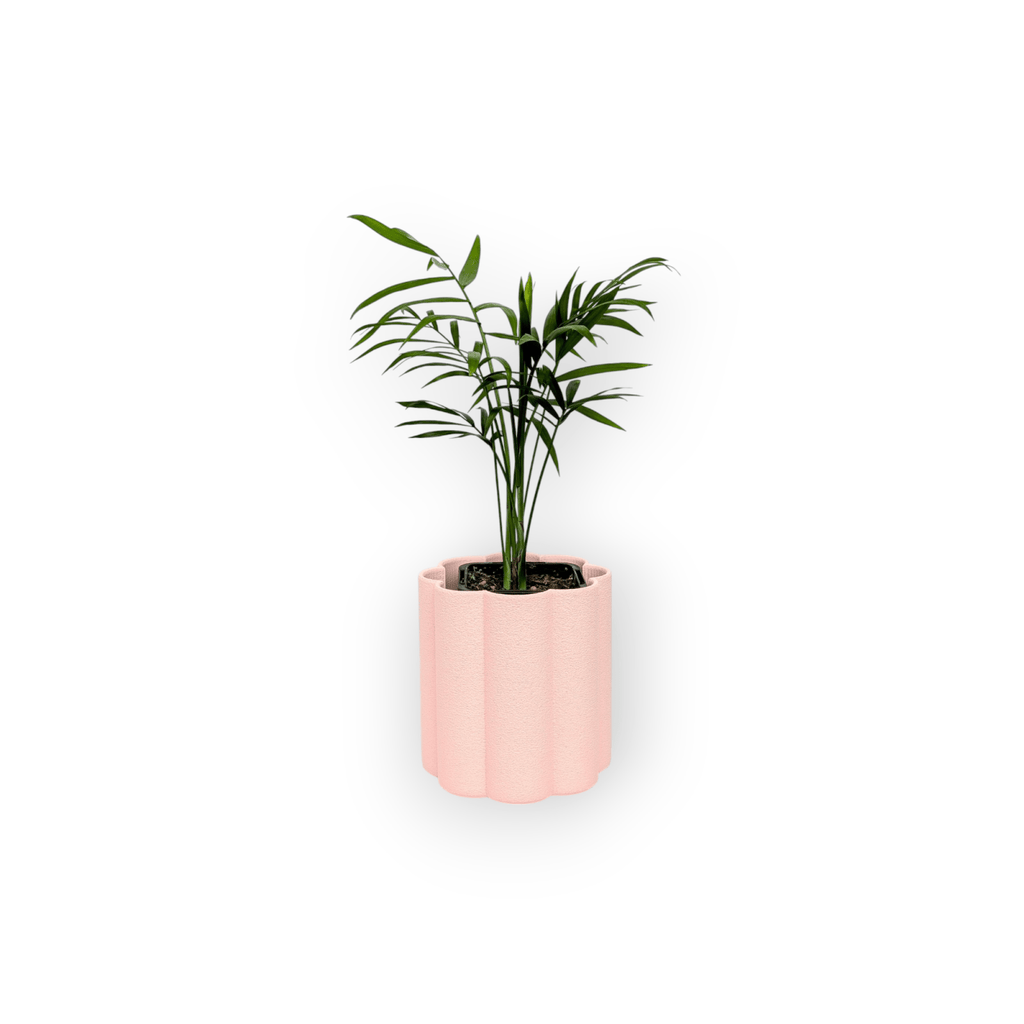 Flora Planter - Vessela