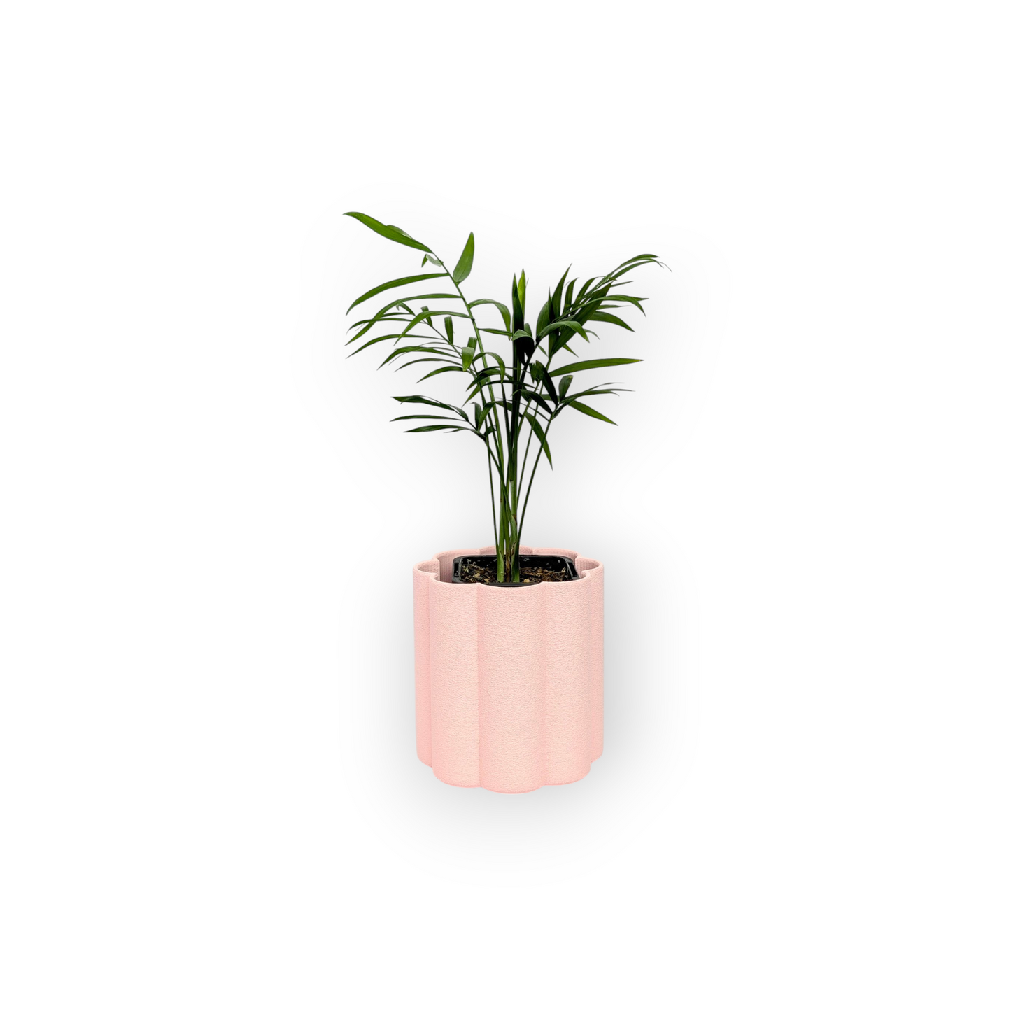 Flora Planter