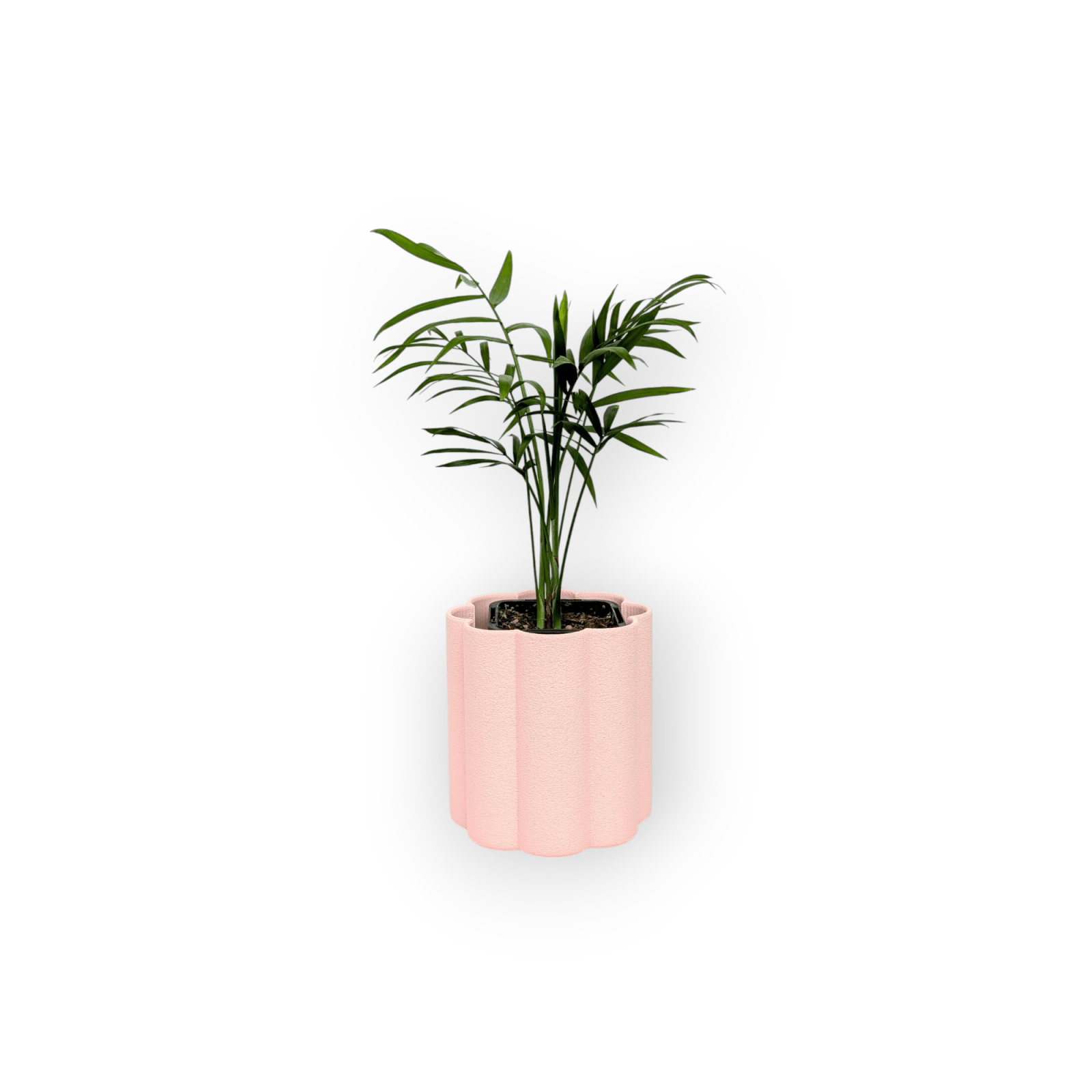 Flora Planter - Vessela