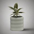 Rivo planter with a soft flowing water-inspired texture, 3D printed from plant-based PLA in Australia