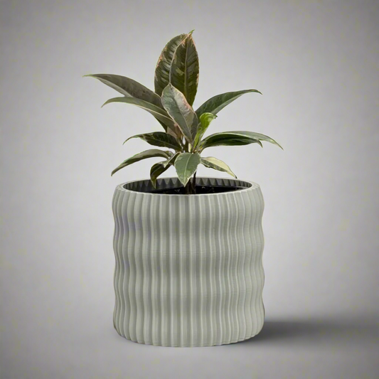 Rivo Planter