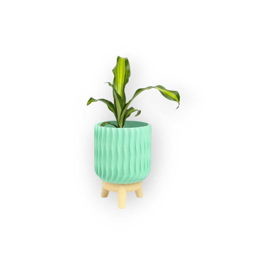 Varen Planter - Vessela