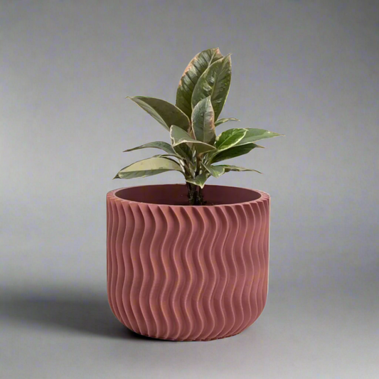 Vallo Planter
