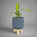 Varen Planter - Vessela