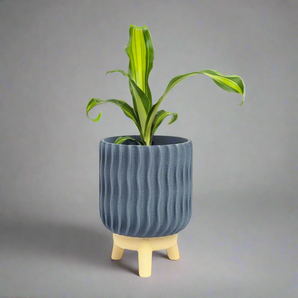 Varen  Planter