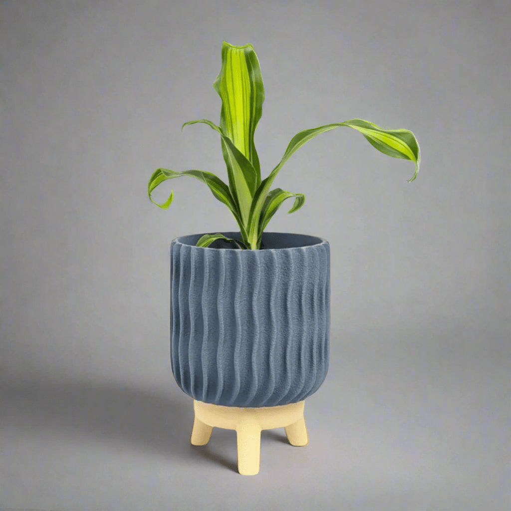 Varen Planter - Vessela