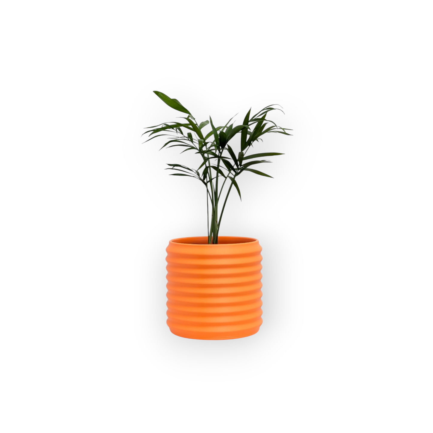 Orin Planter