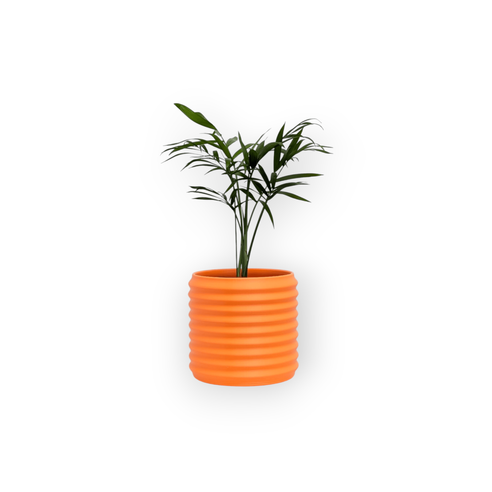 Orin Planter - Vessela