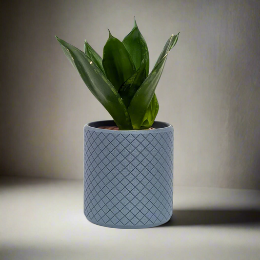 Griffin Planter