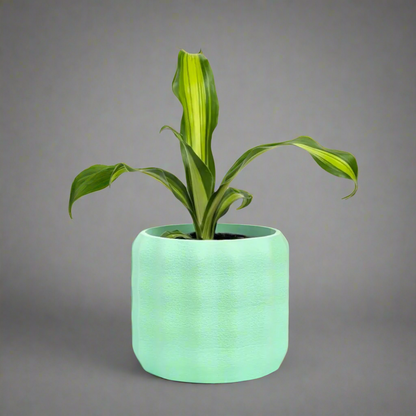 Luma Planter