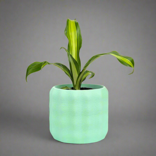 Luma Planter