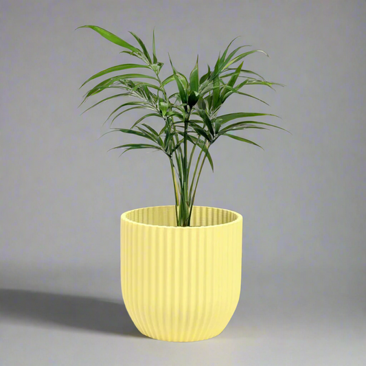 Rilla Planter