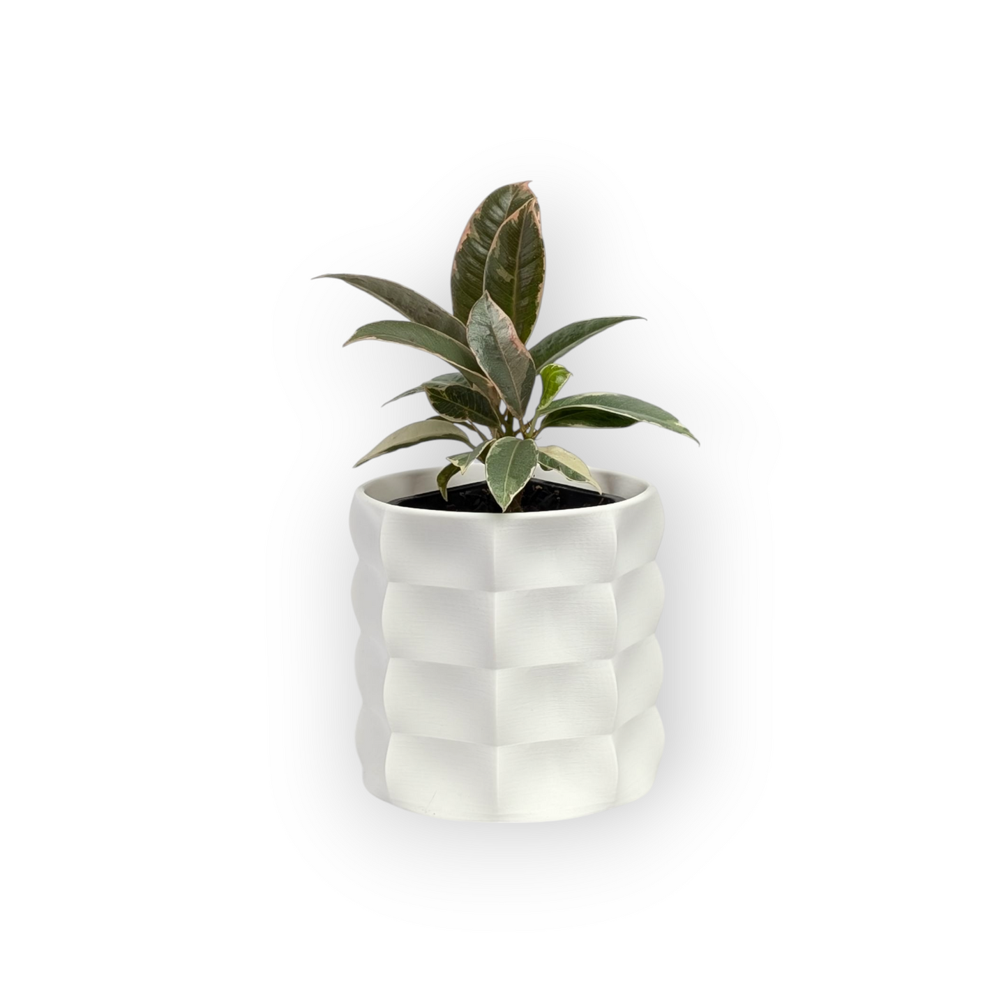 Veyla Planter
