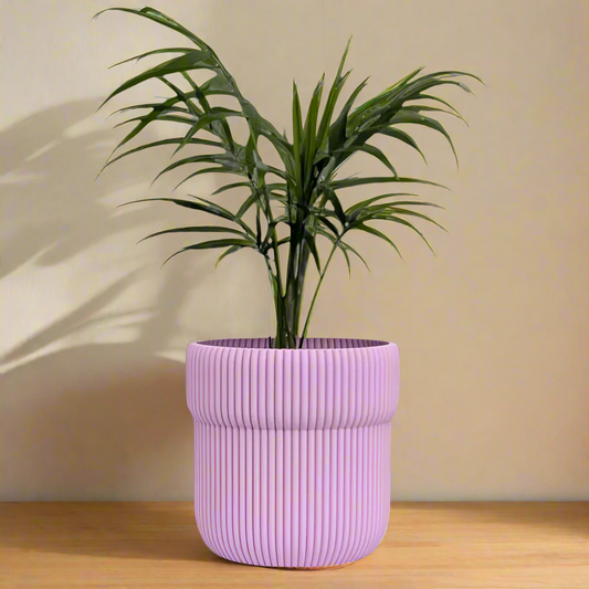 Truco Planter
