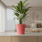 Pina Planter - Vessela