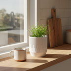 White Rain ribbed planter with a leafy herb plant on a sunlit wooden kitchen counter beside a ceramic mug and wooden cutting board near a window