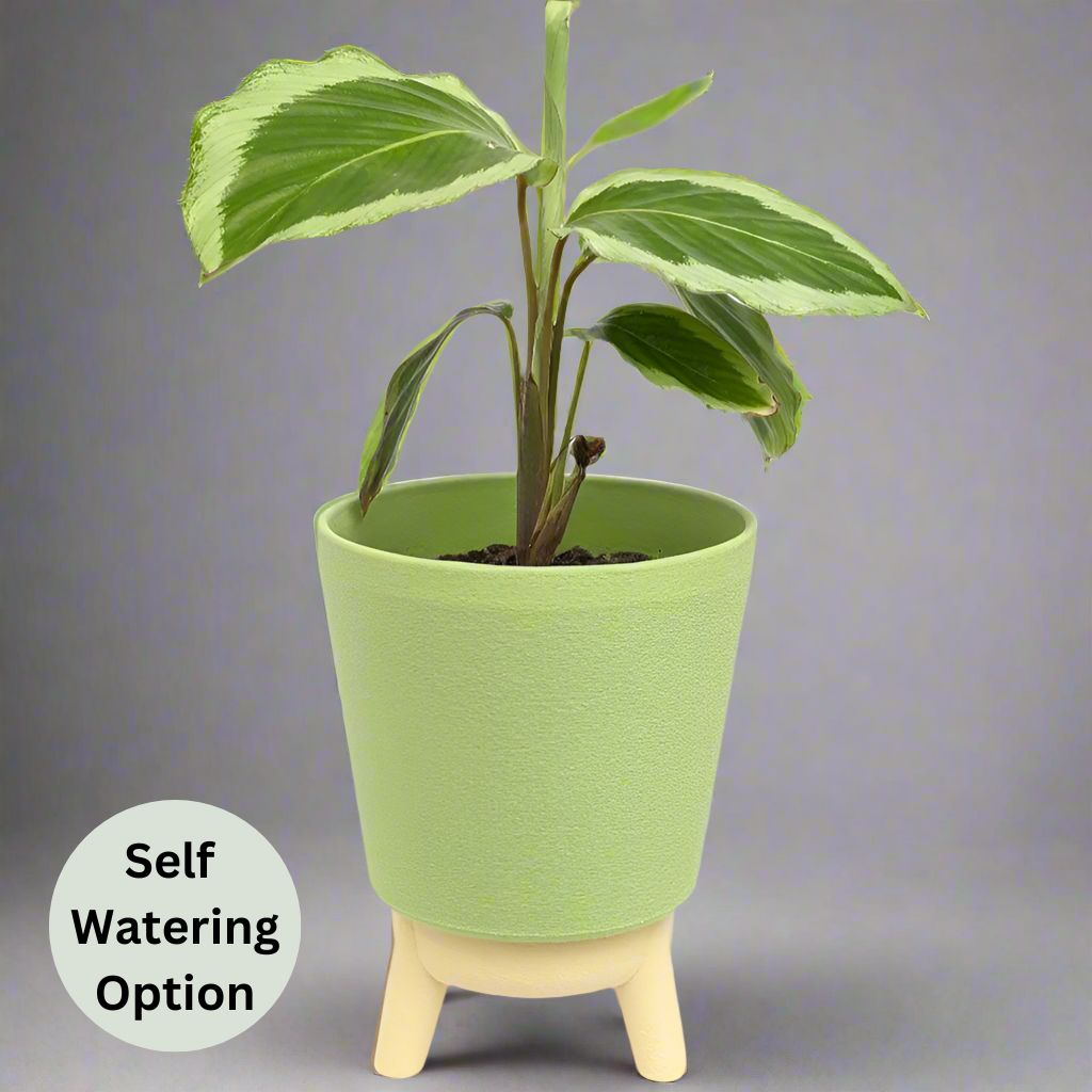 Noa Planter - Vessela