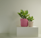 Truco Planter - Vessela