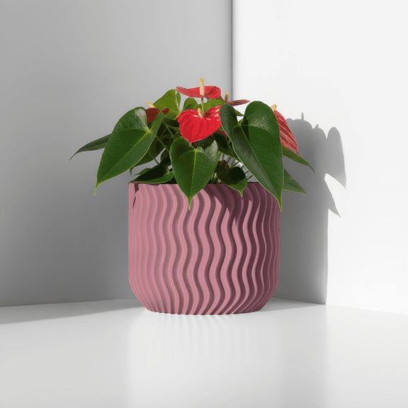 Vallo Planter - Vessela