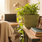 Olive-green Vallo planter with a trailing pothos plant on a wooden shelf in a cozy home office, styled with books and a framed photo