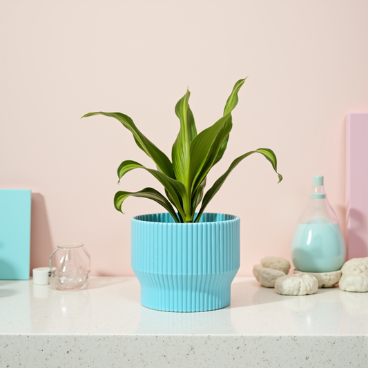 Niza Planter
