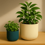 Forma Planter - Vessela