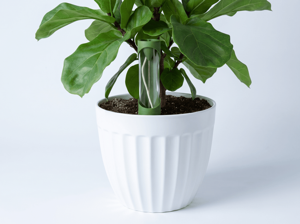 Self Watering Spike - Effortless Deep Root Hydration - Vessela