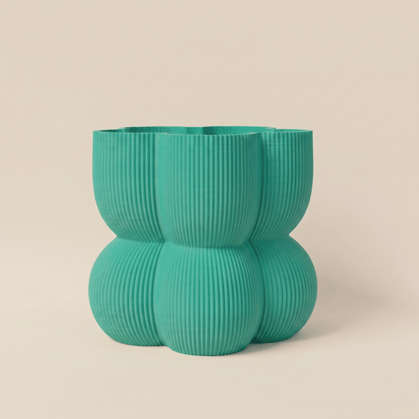 Caribe N°2 Planter