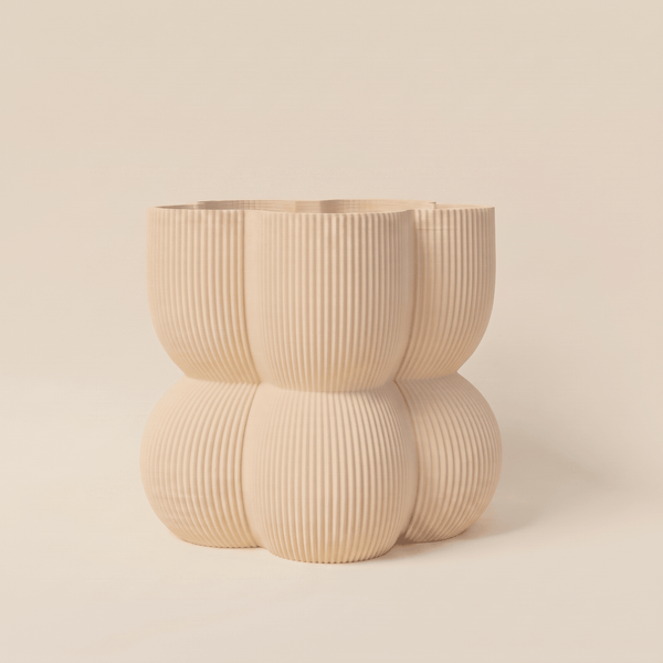 Caribe N°2 Planter